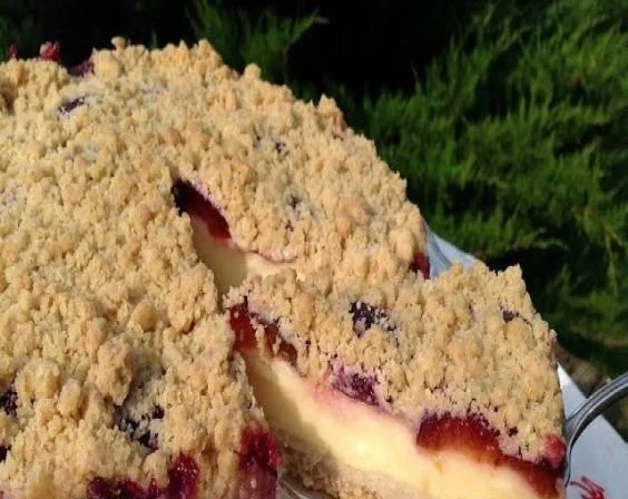 Leckerer Pflaumenkuchen mit Pudding als köstliches Dessert