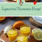 ingwershot thermomix rezept i immunbooster selber 2026 07 22 014252 576x1024 1